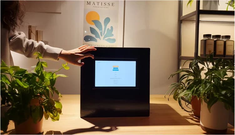 Naemo Box placed on a table